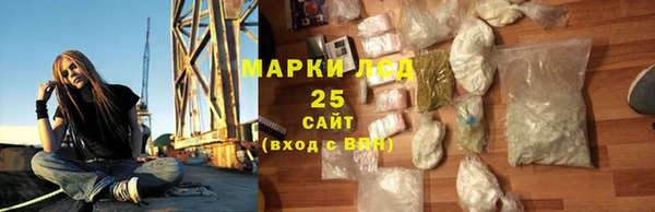 эйфоретик Няндома
