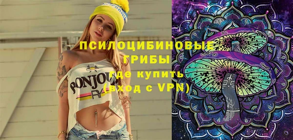соль ск Нязепетровск
