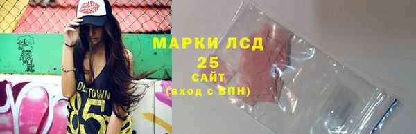 эйфоретик Няндома
