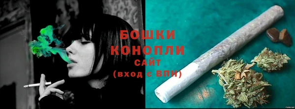эйфоретик Няндома