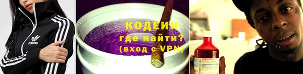 эйфоретик Няндома