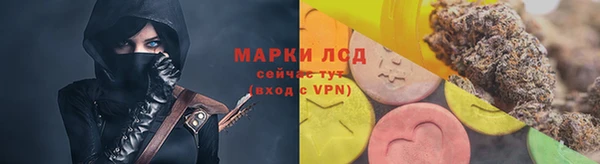 эйфоретик Няндома