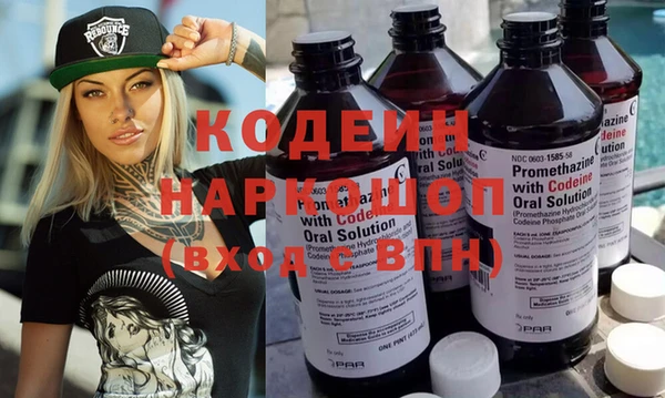эйфоретик Няндома