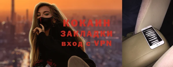 эйфоретик Няндома