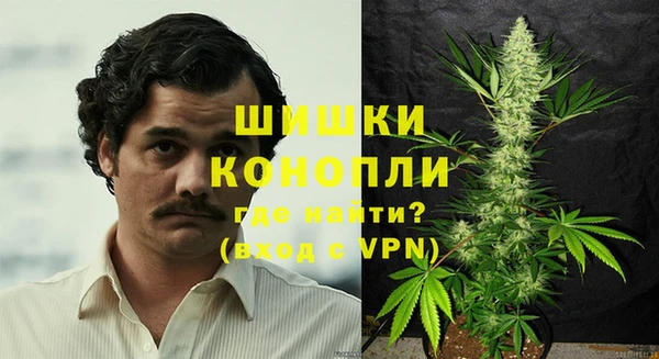 ГАЛЛЮЦИНОГЕННЫЕ ГРИБЫ Суровикино