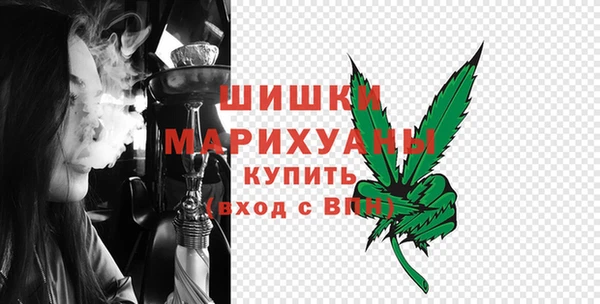эйфоретик Няндома