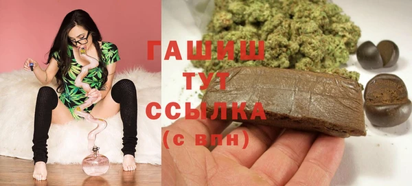 эйфоретик Няндома